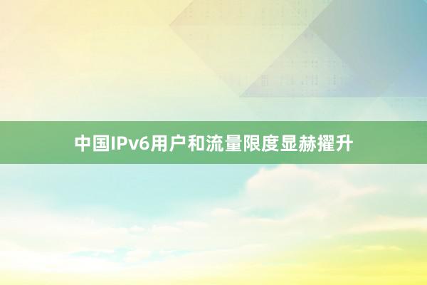 中国IPv6用户和流量限度显赫擢升